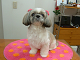 DSCF8714[1]_thumb.png